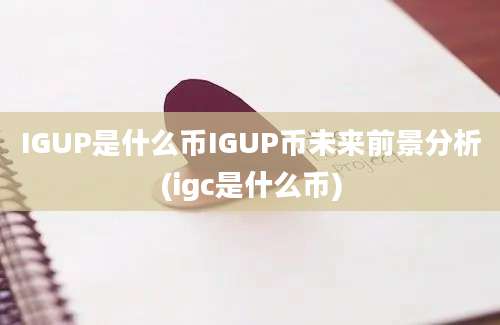 IGUP是什么币IGUP币未来前景分析(igc是什么币)