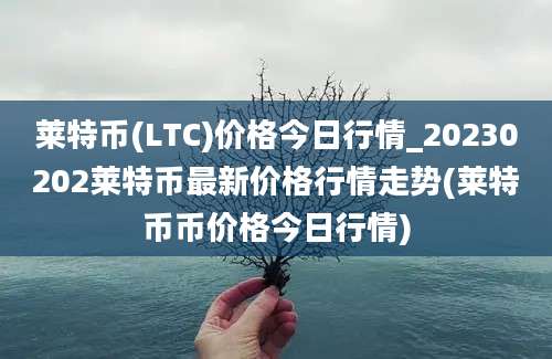 莱特币(LTC)价格今日行情_20230202莱特币最新价格行情走势(莱特币币价格今日行情)