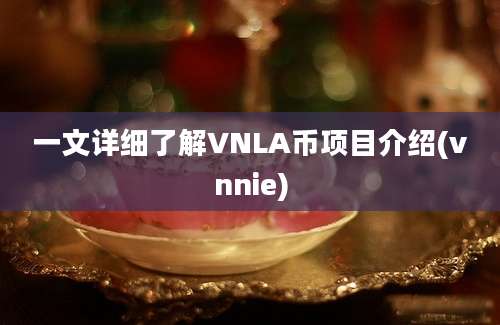 一文详细了解VNLA币项目介绍(vnnie)