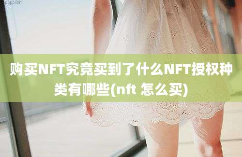 购买NFT究竟买到了什么NFT授权种类有哪些(nft 怎么买)