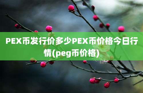 PEX币发行价多少PEX币价格今日行情(peg币价格)