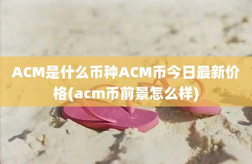 ACM是什么币种ACM币今日最新价格(acm币前景怎么样)