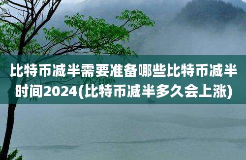 比特币减半需要准备哪些比特币减半时间2024(比特币减半多久会上涨)