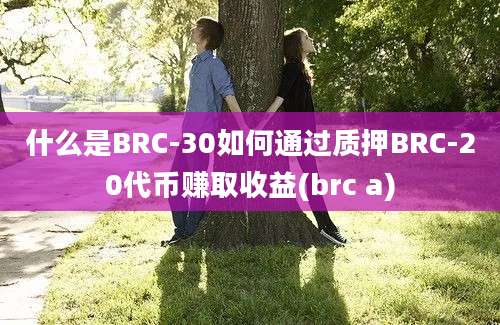 什么是BRC-30如何通过质押BRC-20代币赚取收益(brc a)