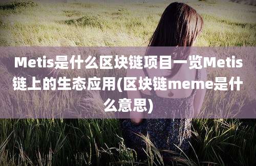 Metis是什么区块链项目一览Metis链上的生态应用(区块链meme是什么意思)