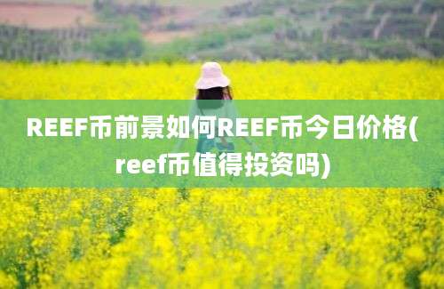 REEF币前景如何REEF币今日价格(reef币值得投资吗)