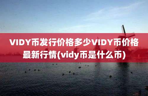 VIDY币发行价格多少VIDY币价格最新行情(vidy币是什么币)