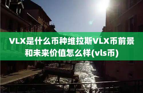 VLX是什么币种维拉斯VLX币前景和未来价值怎么样(vls币)