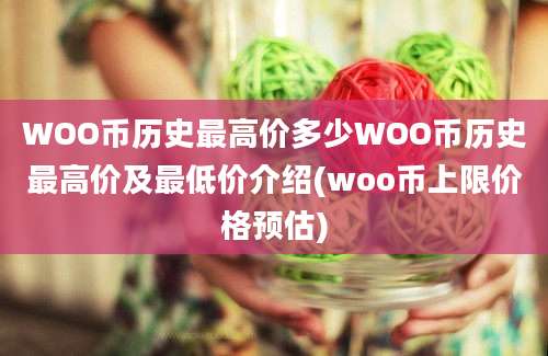 WOO币历史最高价多少WOO币历史最高价及最低价介绍(woo币上限价格预估)