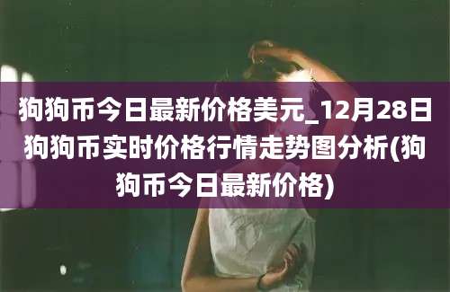 狗狗币今日最新价格美元_12月28日狗狗币实时价格行情走势图分析(狗狗币今日最新价格)