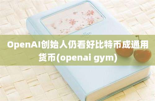 OpenAI创始人仍看好比特币成通用货币(openai gym)