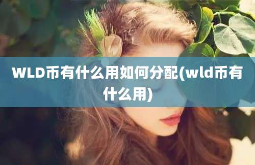 WLD币有什么用如何分配(wld币有什么用)