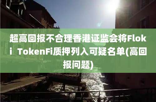 超高回报不合理香港证监会将Floki  TokenFi质押列入可疑名单(高回报问题)