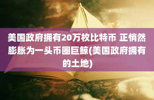 美国政府拥有20万枚比特币 正悄然膨胀为一头币圈巨鲸(美国政府拥有的土地)