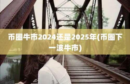 币圈牛市2024还是2025年(币圈下一波牛市)