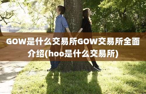 GOW是什么交易所GOW交易所全面介绍(hoo是什么交易所)