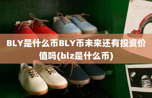 BLY是什么币BLY币未来还有投资价值吗(blz是什么币)