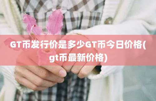 GT币发行价是多少GT币今日价格(gt币最新价格)