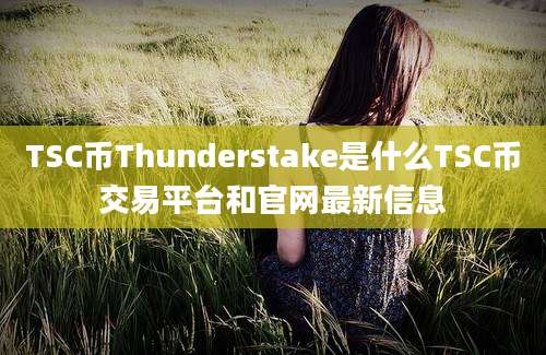 TSC币Thunderstake是什么TSC币交易平台和官网最新信息