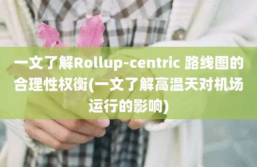 一文了解Rollup-centric 路线图的合理性权衡(一文了解高温天对机场运行的影响)