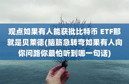 观点如果有人能获批比特币 ETF那就是贝莱德(脑筋急转弯如果有人向你问路你最怕听到哪一句话)