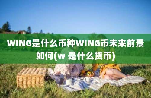 WING是什么币种WING币未来前景如何(w 是什么货币)