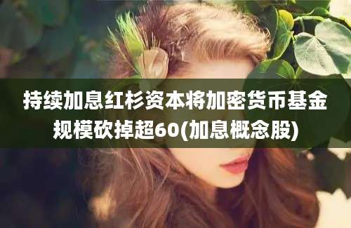 持续加息红杉资本将加密货币基金规模砍掉超60(加息概念股)