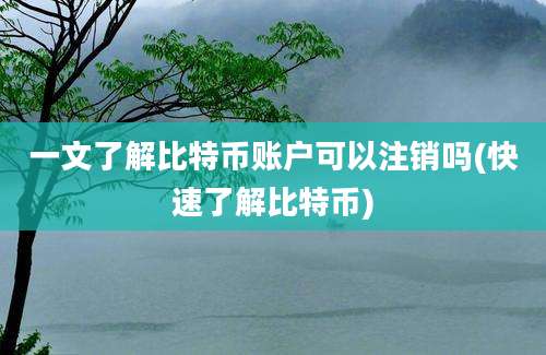 一文了解比特币账户可以注销吗(快速了解比特币)