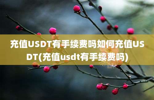 充值USDT有手续费吗如何充值USDT(充值usdt有手续费吗)