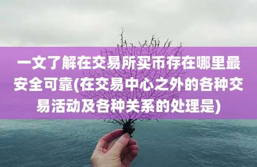 一文了解在交易所买币存在哪里最安全可靠(在交易中心之外的各种交易活动及各种关系的处理是)