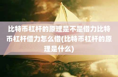 比特币杠杆的原理是不是借力比特币杠杆借力怎么借(比特币杠杆的原理是什么)