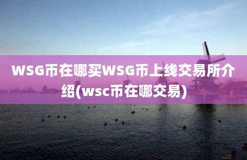 WSG币在哪买WSG币上线交易所介绍(wsc币在哪交易)