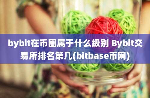 bybit在币圈属于什么级别 Bybit交易所排名第几(bitbase币网)