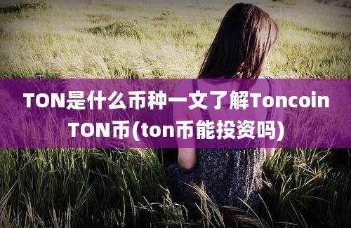 TON是什么币种一文了解ToncoinTON币(ton币能投资吗)