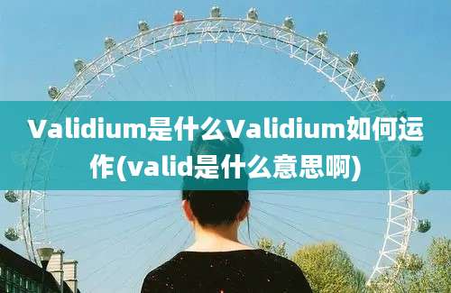 Validium是什么Validium如何运作(valid是什么意思啊)