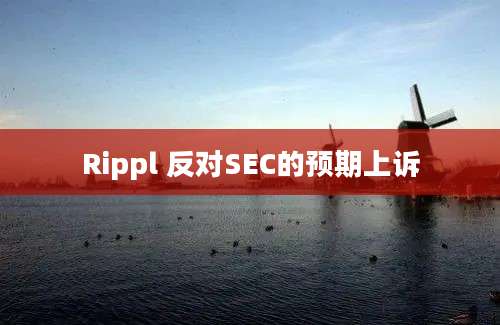 Rippl 反对SEC的预期上诉