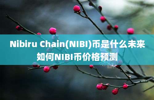 Nibiru Chain(NIBI)币是什么未来如何NIBI币价格预测