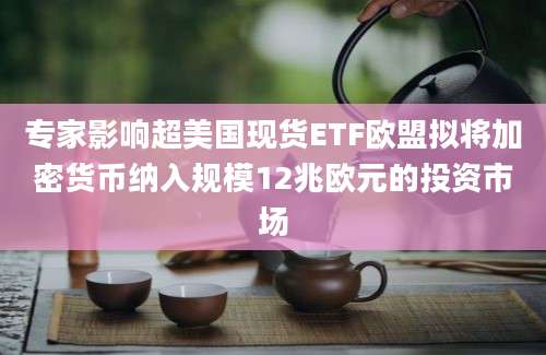 专家影响超美国现货ETF欧盟拟将加密货币纳入规模12兆欧元的投资市场