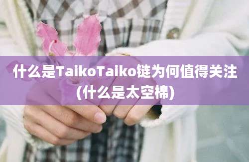 什么是TaikoTaiko链为何值得关注(什么是太空棉)