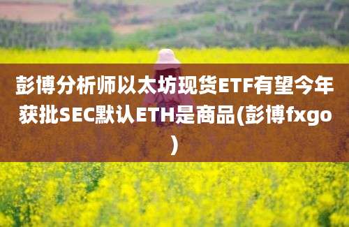 彭博分析师以太坊现货ETF有望今年获批SEC默认ETH是商品(彭博fxgo)