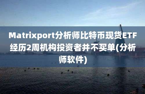 Matrixport分析师比特币现货ETF经历2周机构投资者并不买单(分析师软件)