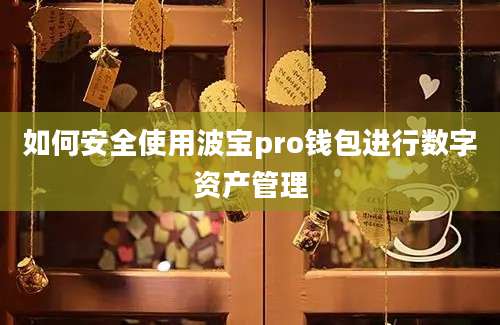 如何安全使用波宝pro钱包进行数字资产管理