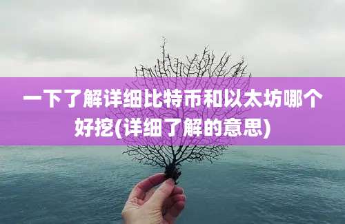 一下了解详细比特币和以太坊哪个好挖(详细了解的意思)