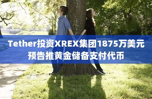 Tether投资XREX集团1875万美元预告推黄金储备支付代币