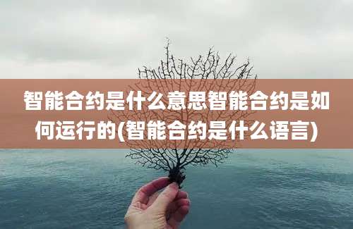 智能合约是什么意思智能合约是如何运行的(智能合约是什么语言)