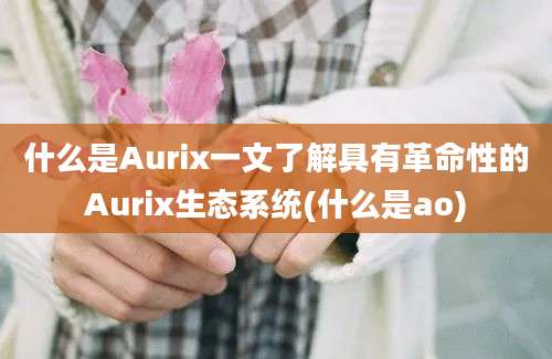 什么是Aurix一文了解具有革命性的Aurix生态系统(什么是ao)