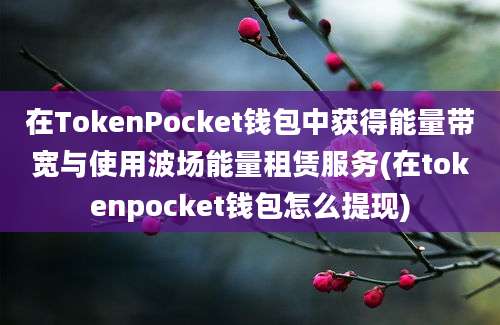 在TokenPocket钱包中获得能量带宽与使用波场能量租赁服务(在tokenpocket钱包怎么提现)