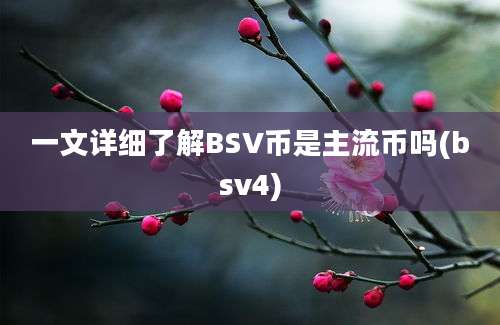 一文详细了解BSV币是主流币吗(bsv4)