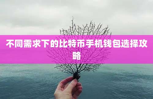 不同需求下的比特币手机钱包选择攻略