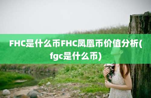 FHC是什么币FHC凤凰币价值分析(fgc是什么币)